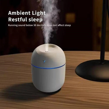 Portable Mini Air Humidifier